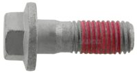 Bremsekaliperbolt, foraksel 30741260, Volvo S60/V60/XC60 m.fl.